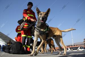 Soldados españoles de la UME, tras su llegada a Nepal con varios perros...