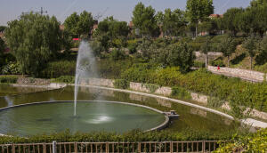 Pozuelo de Alarcón (Madrid), 09/07/2015