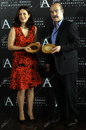 Antonio Resines, presidente de la Academia de Cine, entrega las medallas de la...
