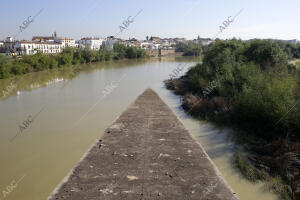 Puentes de Córdoba. En la imagen, el puente del de Miraflores