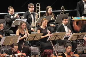 Concierto de año Nuevo