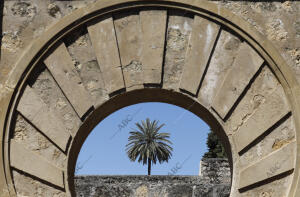 Yacimiento arqueológico de Medina Azahara