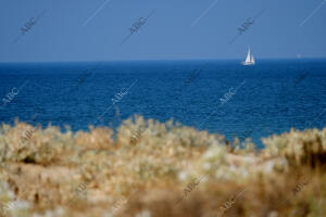 Playa de la ballena en costa Ballena