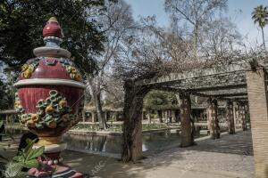 El parque de María Luisa. En la Imagen, el estanque de los Lotos