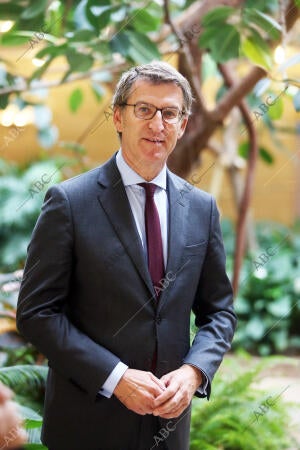 Entrevista A Alberto Núñez Feijóo