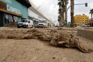 Destrozos provocados por las inundaciones de la Gota fría que azotó el Levante...