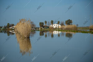 El delta del Ebro después del temporal Gloria