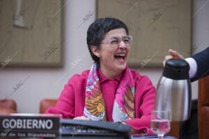 Comisión de Exteriores en el Congreso con la ministra de Exteriores, Arancha...