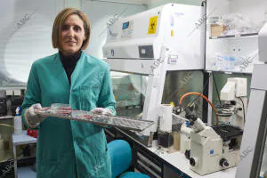 Entrevista a Isabel Sola, directora del Centro Nacional de Biotecnología y...