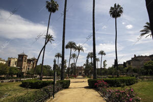 En la imagen, el Museo de Artes y Costumbres Populares, el Pabellón Real y el...