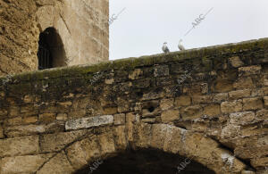 Reportaje sobre Patrimonio Histórico en mal estado