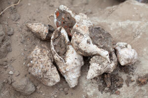 Reportaje en Baelo Claudia (Bolonia, Cádiz)