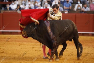 Se lidian toros de Juan Pedro Domecq-Parlade para un mano a mano entre Morante...