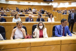 Sesión de control al presidente Pedro Sánchez en el Senado y con la primera...