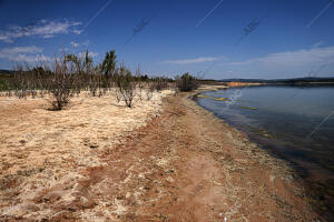 Reportaje de sequia en el embalse de Buendía, en la provincia de Cuenca