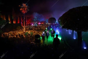 Inauguración del espectáculo de «Naturaleza Encendida: Raíces», en el Alcázar de...