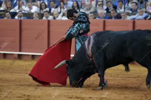 Corrida de toros celebrada en La Maestranza, para los toreros Morante de la...