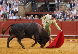 Toros de Victoriano del Río y toros de Cortés