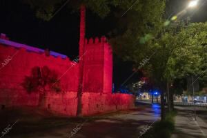 La muralla de la Macarena y la fuente del Prado iluminadas en solidaridad con...