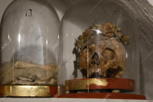 Presentación a los medios de las visitas guiadas a los sepulcros de los...