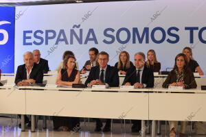 El presidente del PP, Alberto Núñez Feijóo, preside la reunión del Comité...