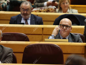 Pleno extraordinario en el Senado en el que se insta al Gobierno a celebrar un...