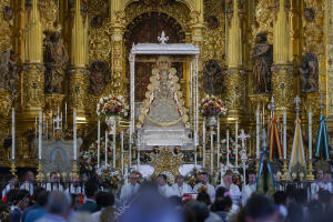 Sábado en la aldea del Rocío y presentación de las Hermandades