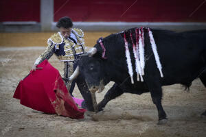 Corrida de Toros de Morante, roca Rey y Pablo aguado en la Feria del Corpus