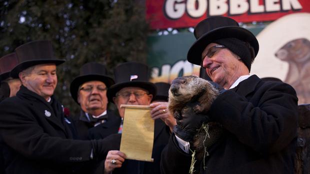 La historia de la marmota que predice el futuro con bastante mala puntería