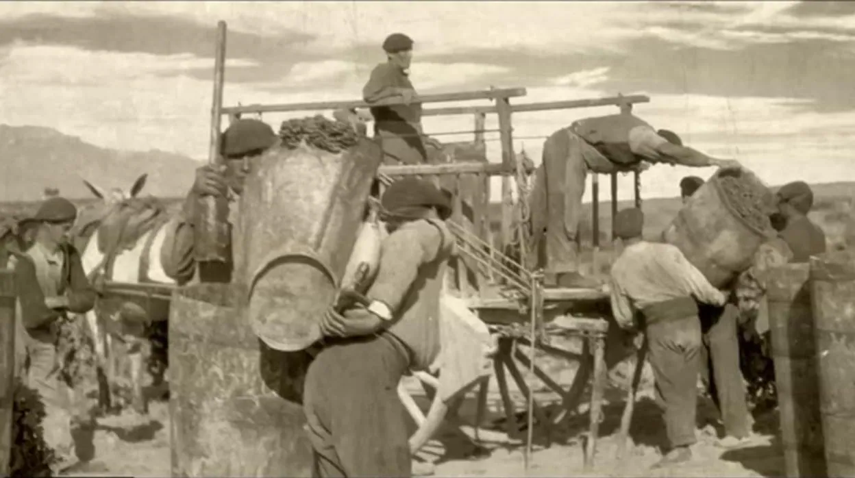 Un grupo de recolectores de uva de La Rioja a principios del siglo XX