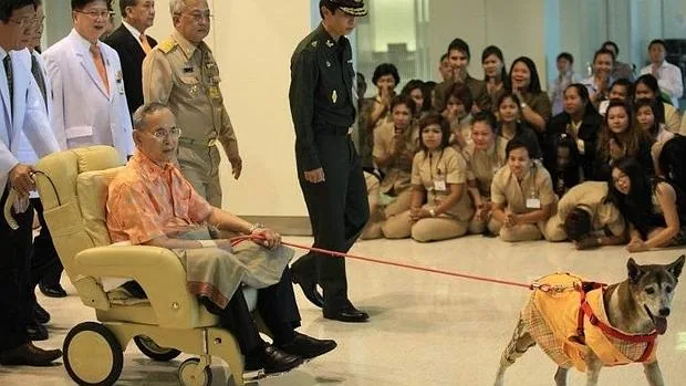 El rey de Tailandia junto a su perra, Tong Daeng