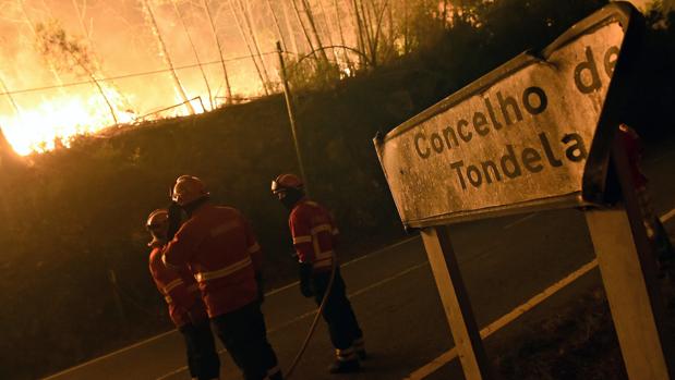 Los responsables del Sporting de Lisboa recomiendan traer agua, barras de cereales, fruta fresca o leche para los bomberos