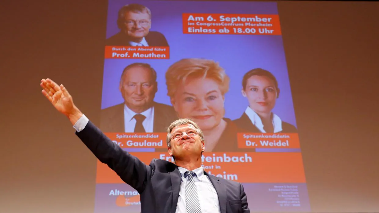El líder de Alternativa por Alemania (AfD), Joerg Meuthen