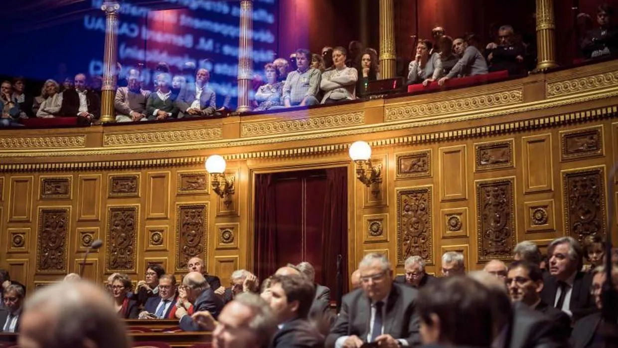 Sesión del Senado, en el Palacio de Luxumburgo, en París