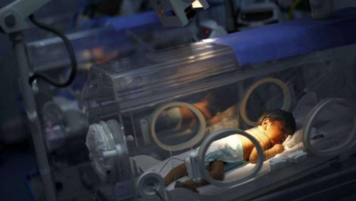 En Venezuela mueren seis bebés cada semana por desnutrición y falta de atención médica