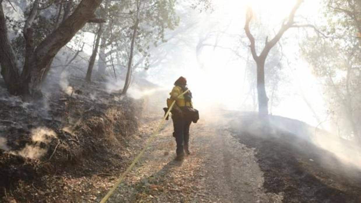 El fuego en California está dejando un paisaje desolador de ceniza y huesos