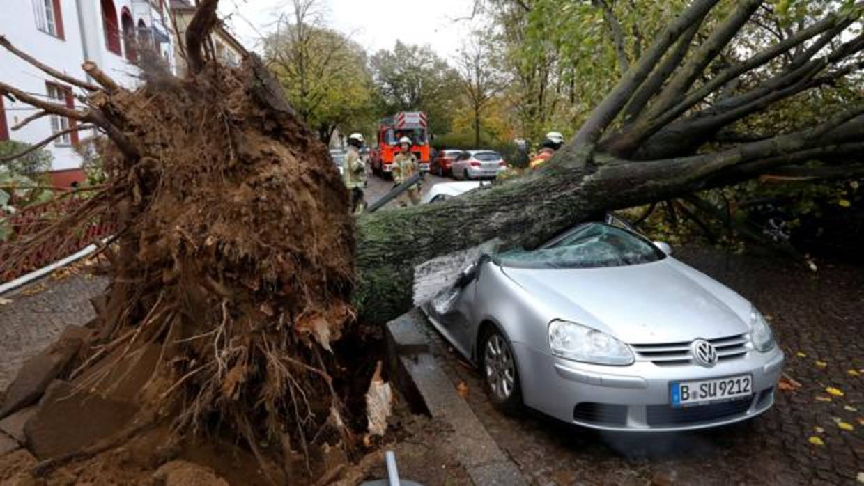 Efectivos tratan de retirar un árbol arrancado de raíz por el vendaval y caído sobre un coche en Berlín