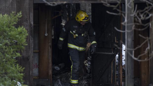 Un animal muerto y ocho personas afectadas por un incendio en el zoo de Londres