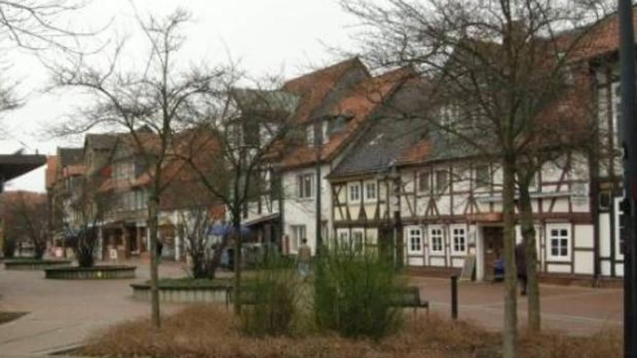 Detenidos en Alemania tres sospechosos de disparar a una niña en Nochevieja