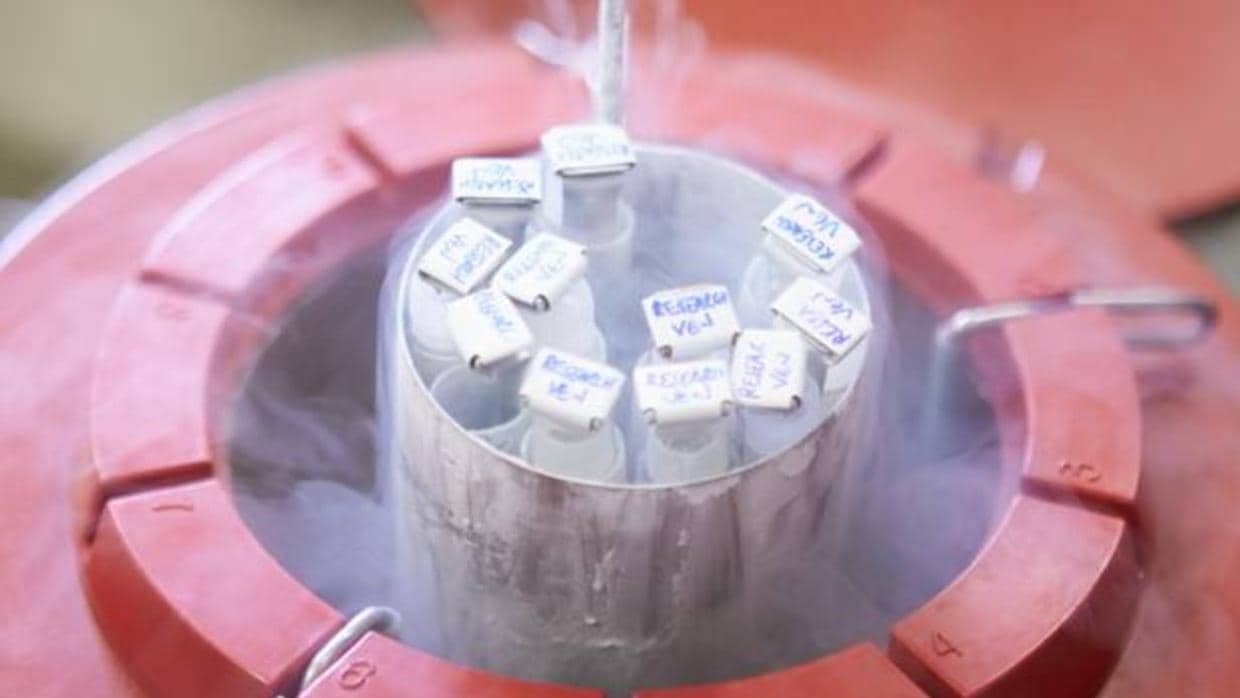 Imagen de archivo de muestras de semen congelado en un banco de esperma