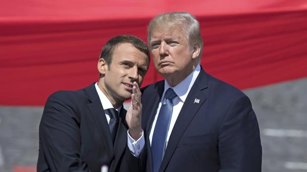 Por qué Macron regalará a Trump un esqueje de roble en su visita a Washington