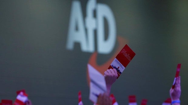 AfD, el segundo partido a escala federal en las encuestas