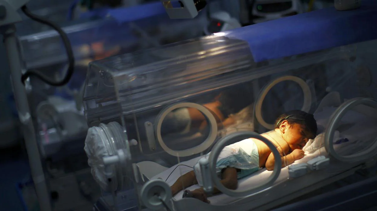 Un bebé prematuro duerme en una incubadra en Caracas