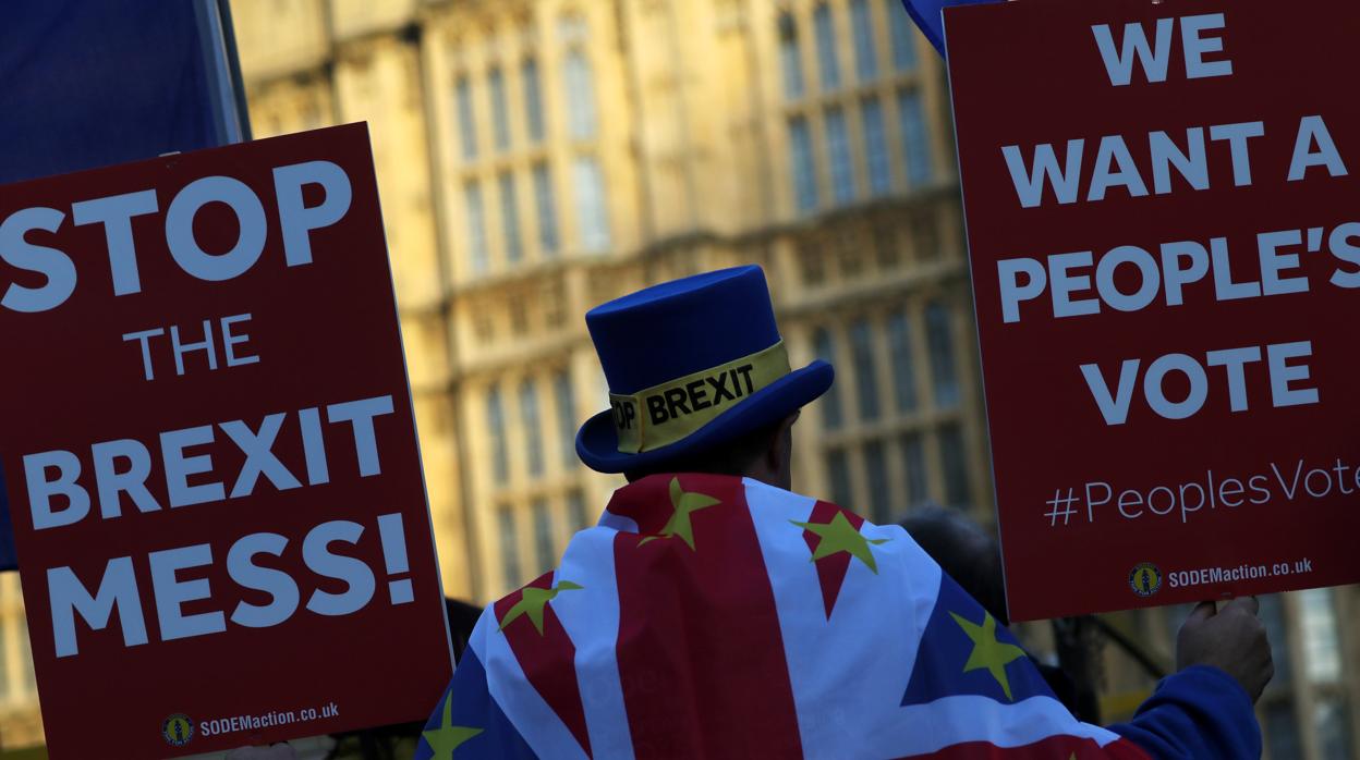 Un británico contrario al Brexit, durante una protesta