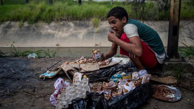 La Venezuela profunda recurre a la siembra para no morirse de hambre