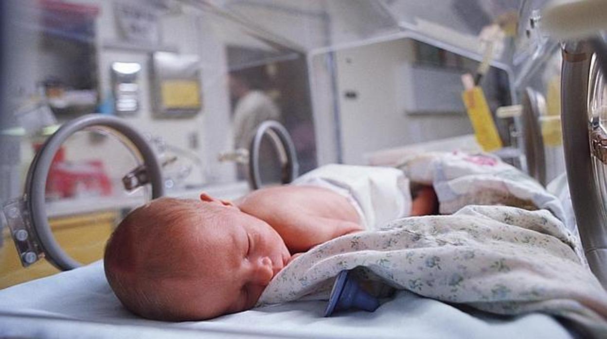 Un bebé descansa en la incubadora de un hospital valenciano en una foto de archivo