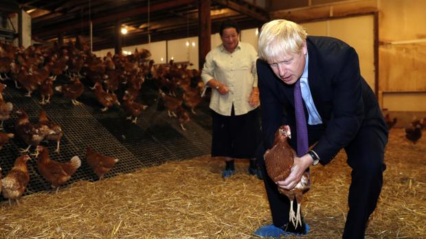 Irlanda y Escocia complican los planes de Boris Johnson de un Brexit sin acuerdo