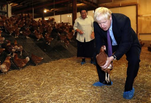 Boris Johnson, en una granja