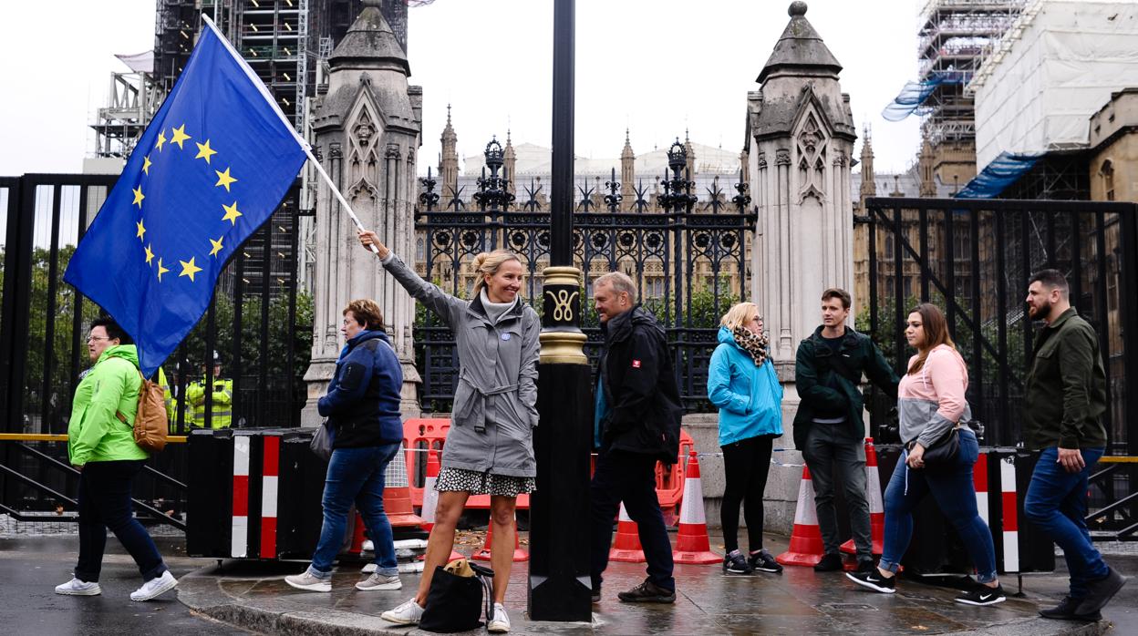 Una partidaria de la UE hace ondear una bandera europea frente al Parlamento británico