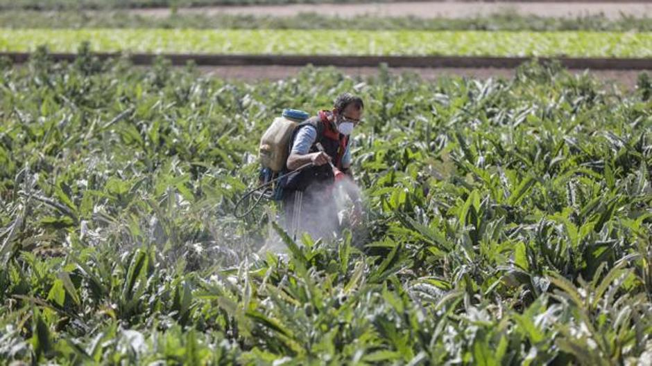 Un informe estadounidense advierte de las consecuencias de las medidas para frenar el coronavirus en el campo español